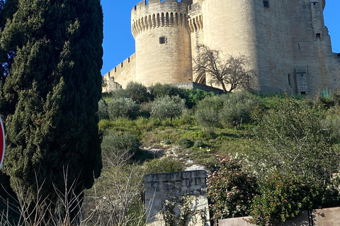 Avignon: Food & Wine Walk | Gourmet Taste & Local Vibes