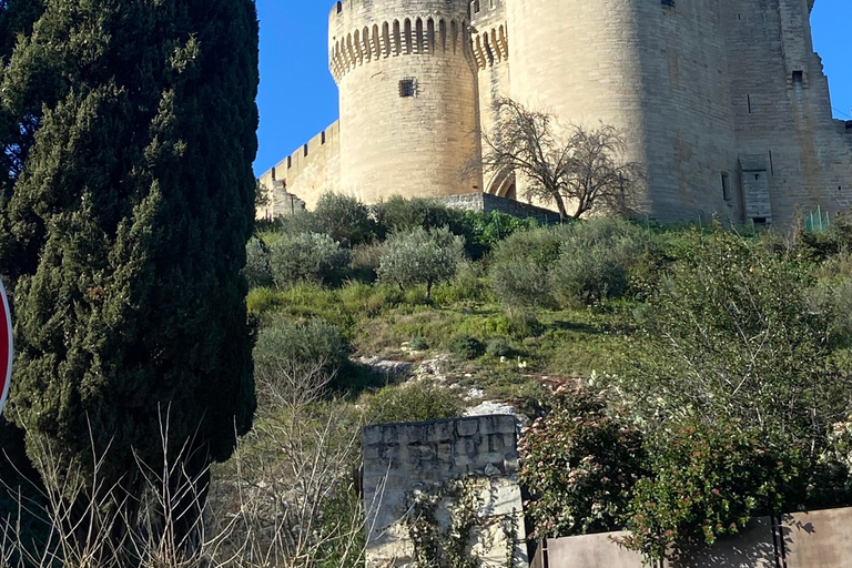 Avignon: Food & Wine Walk | Gourmet Taste & Local Vibes