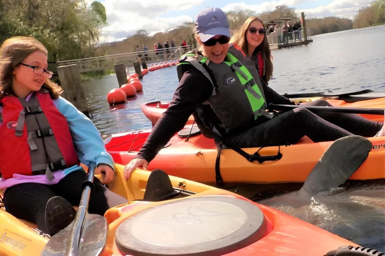 Blue Springs: Manatee Kayak Tour solo kayak