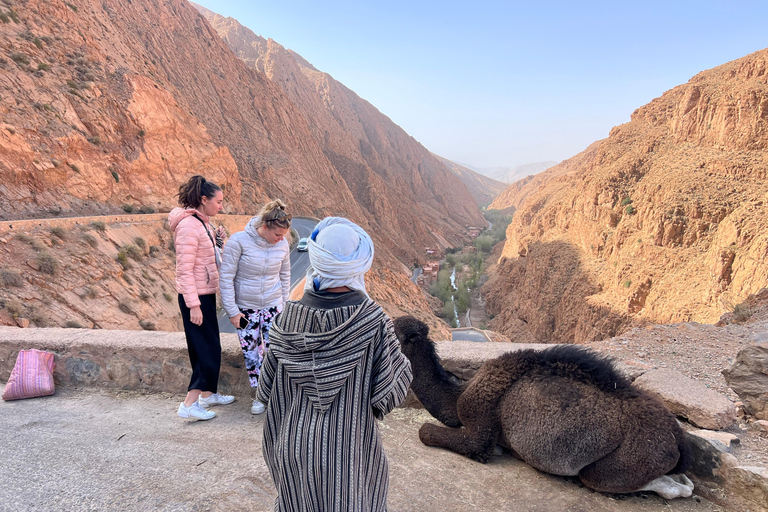 2 Days Trip From Marrakech To Ouarzazate & Dades Valley 2 Days Shared Tour : Marrakech To Ouarzazate & Dades Valley