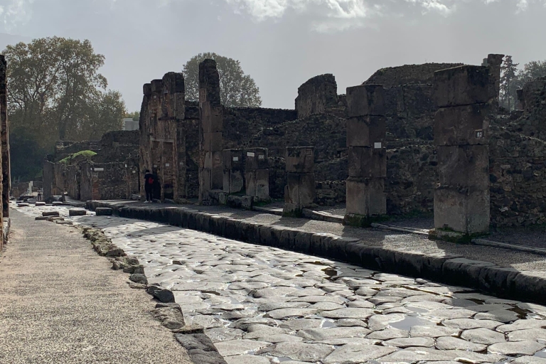 Z Rzymu: Prywatna wycieczka po Pompejach i wybrzeżu Amalfi przez Van