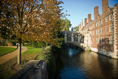 Utforska Cambridge med familjen - vandringstur