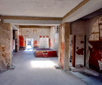 Tour di Pompei e del Vesuvio con degustazione di vini