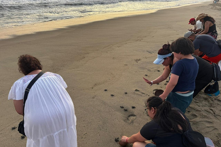Puerto Escondido: Unforgettable Turtle Release Experience