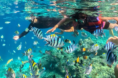 Gili Trawangan: Public Snorkeling Tour with Turtles and BBQ Public Snorkeling Tour with Turtles