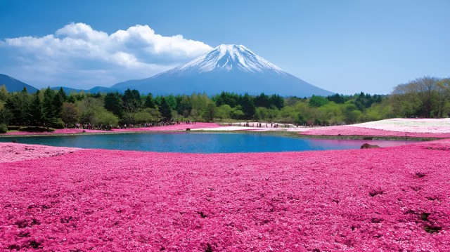 Visit Mt.Fuji Flower Festival & Ropeway & Fruit Picking from Tokyo in Kyoshu