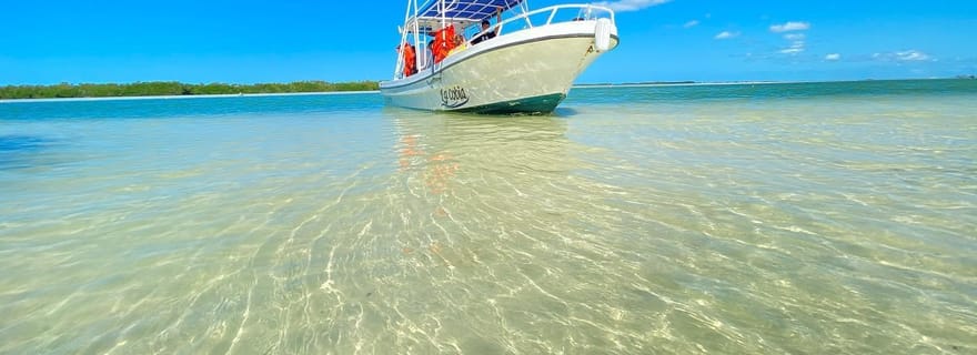 Lever de soleil sur Isla Holbox VIP - 2 points + fruits + café