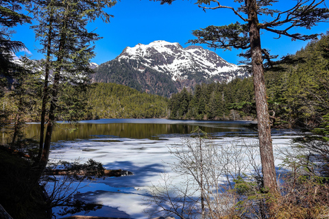 Sitka: Private Guided Tongass National Forest Hiking Tour Sitka: Private Guided Hiking Tour-Half Day