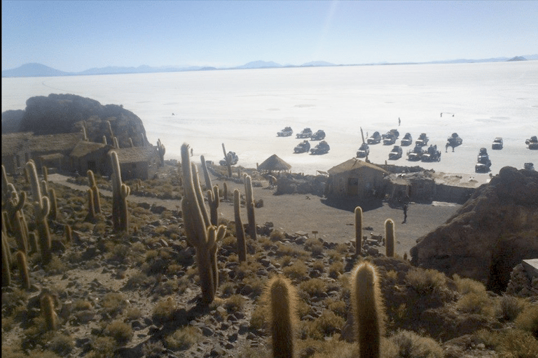 Uyuni 1 journée complète