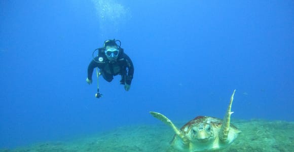 Fun Dive for Certified Divers in Tenerife