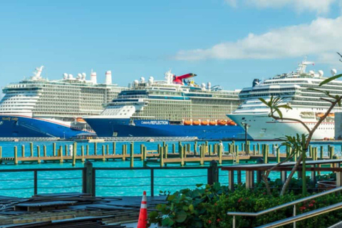 Miami: Poznaj magiczne miasto w dobrym stylu - 2-godzinna wycieczka VIP