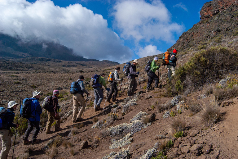 Arusha: 7-daagse Machame Route Reis naar de Kilimanjaro piek