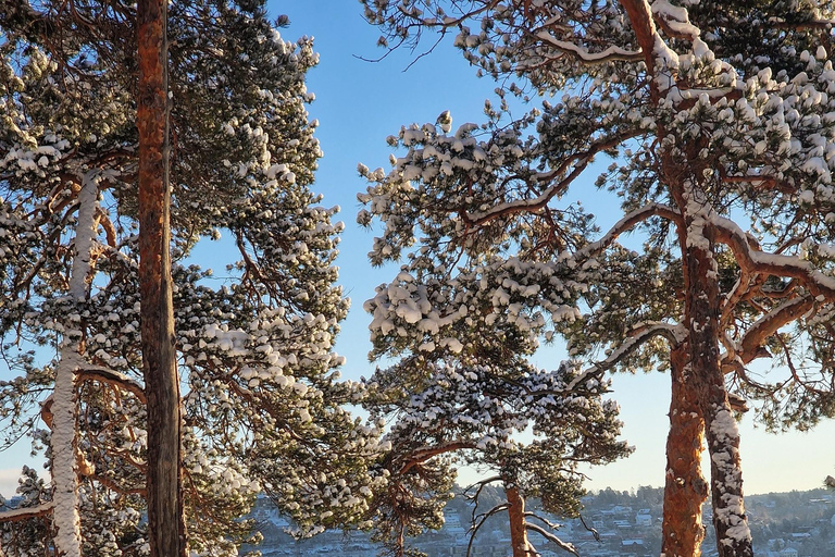 Oslo: Malmøya Guided Hike with Waffle & Salmon Experience