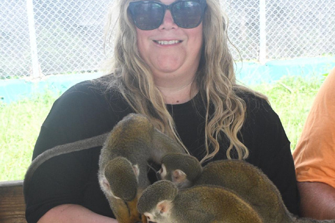 Puerto Plata: Monkey home, Damajagua Waterfalls & City Tour