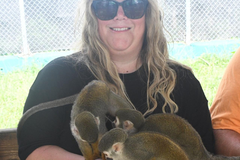 Puerto Plata: Monkey home, Damajagua Waterfalls & City Tour