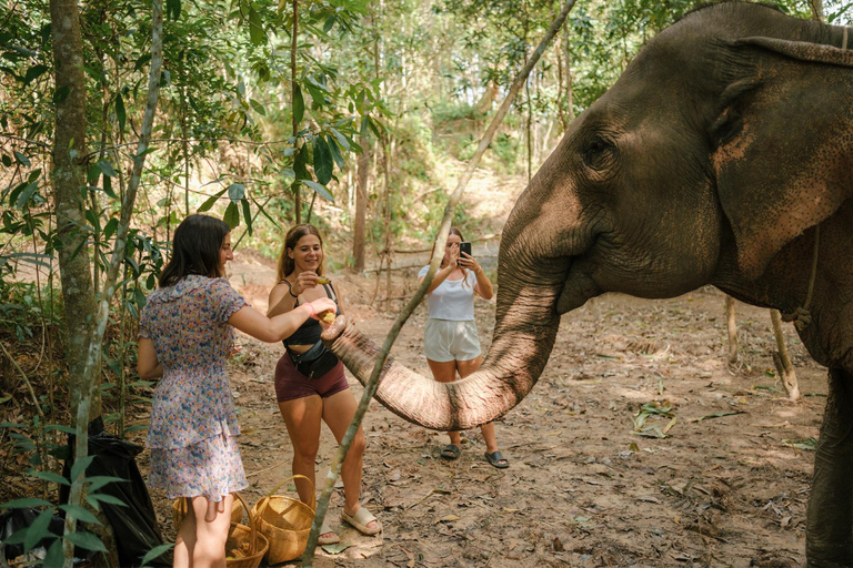 Krabi: Alimentar e tirar fotografias com elefantes