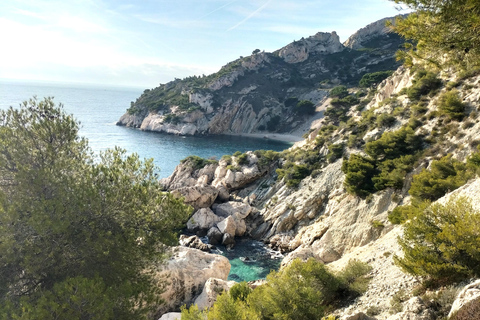 Aix: Safari in Marseille, Cassis & Boottocht naar CalanquesKleine groep