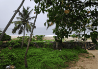 Heritage & Cultural Walk of Alleppey - Guided Walking Tour - Housity