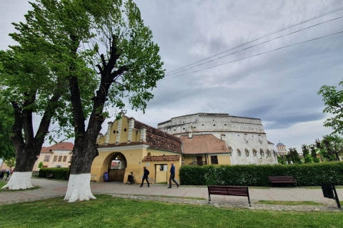 De Bucarest: visite guidée privée de 9 jours en RoumanieOption standard