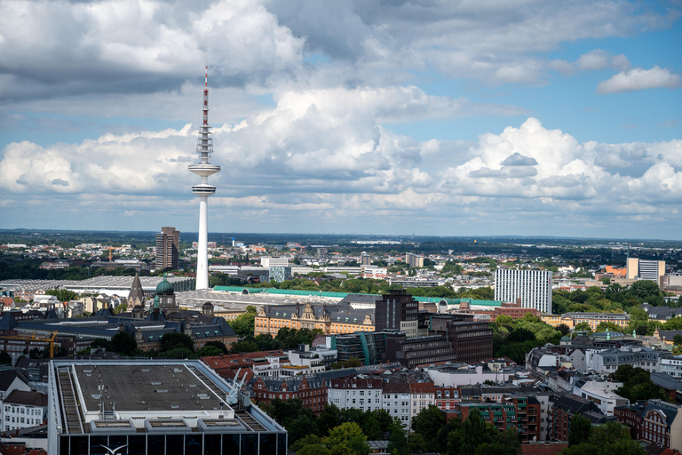 Hamburg: Historic WW2 Walking Tour & Panorama in Small Group