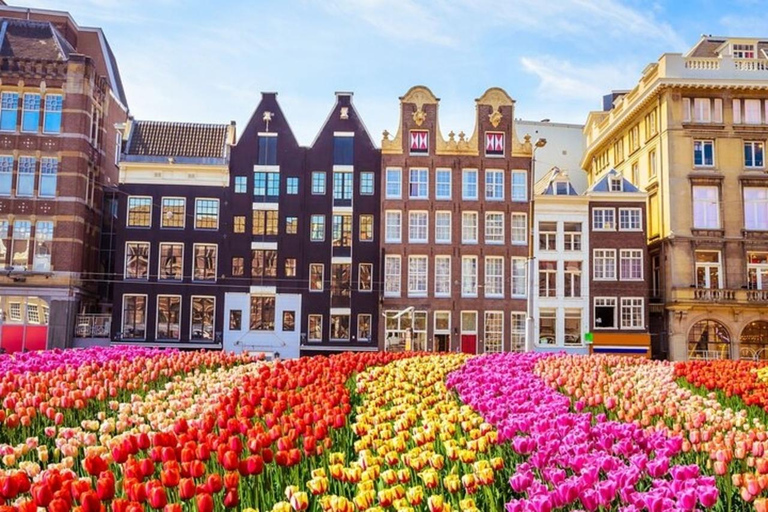 Amsterdã: Excursão a pé pelo centro históricoTour particular