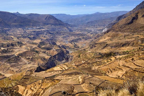 Heldag vid Colca + Transfer till Puno