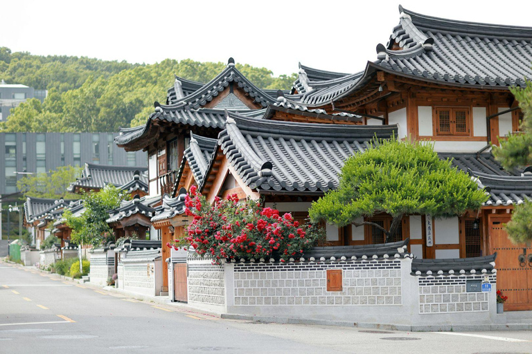 Seoul Old Town: Changdeokgung Palace & Bukchon Hidden Tour