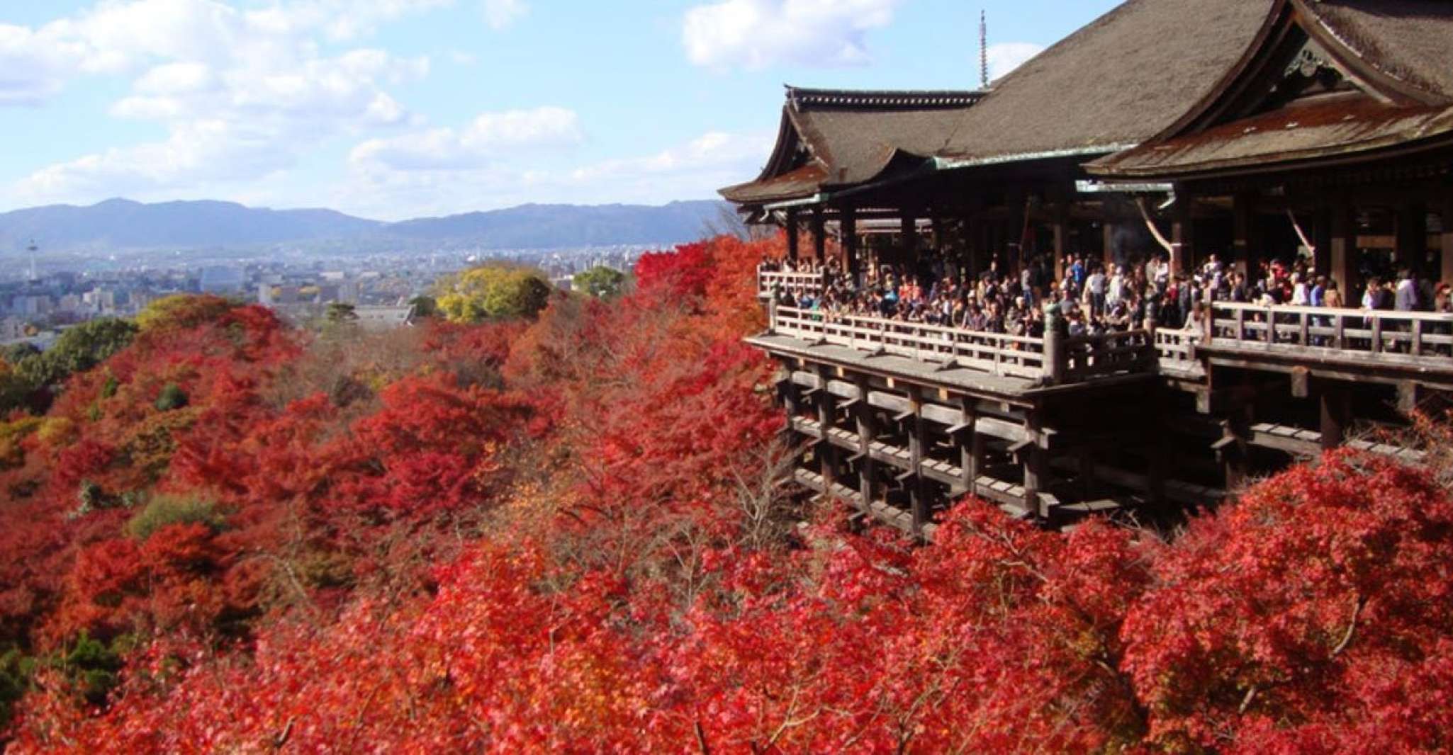 Kyoto, Full-Day Best UNESCO and Historical Sites Bus Tour - Housity
