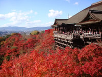 Kyoto, Full-Day Best UNESCO and Historical Sites Bus Tour - Housity