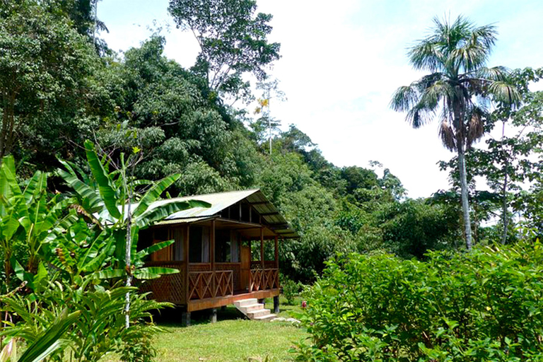 Manu Jungle Tour 5 Días