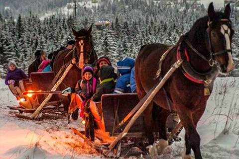 Zakopane: Paseos a Caballo con Guía Local y Degustación GastronómicaInvierno: Paseo en trineo de nieve