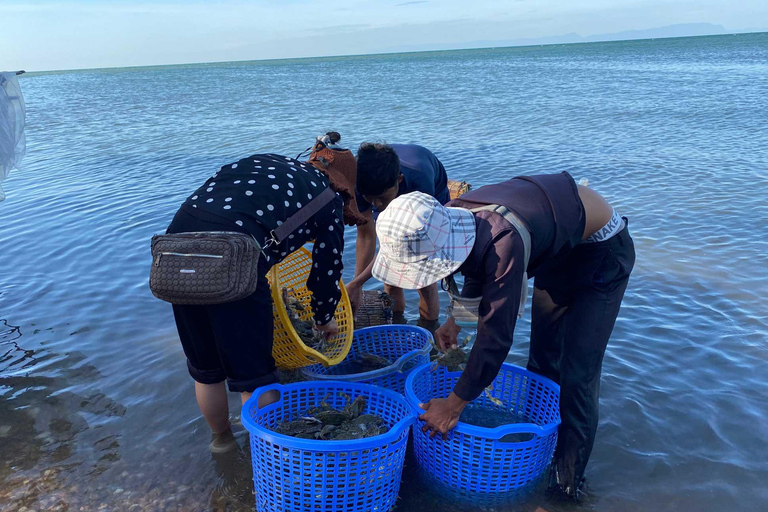 Escursione di un giorno a Kep Beach e Kampot da Phnom PenhEscursione di un giorno a Kep e Kampot con guida in inglese