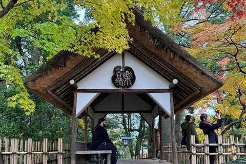 Kanazawa: Privat halvdagsutflykt - Trädgård, slott, Geisha