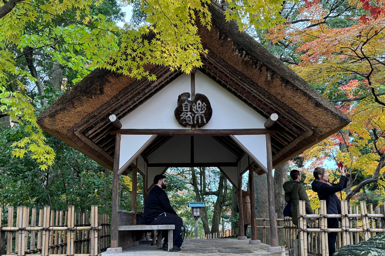 Kanazawa: Privat halvdagsutflykt - Trädgård, slott, Geisha