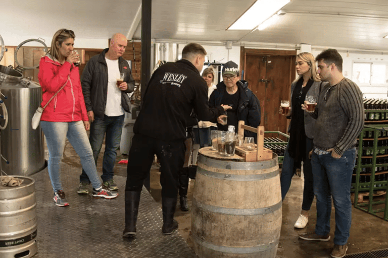 Bariloche: Craft Brewery Tour with Tastings and Snacks