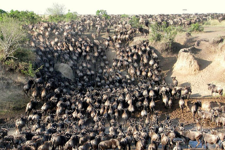 Tanzanie : forfait aventure d&#039;un an avec ascension du Kilimandjaro