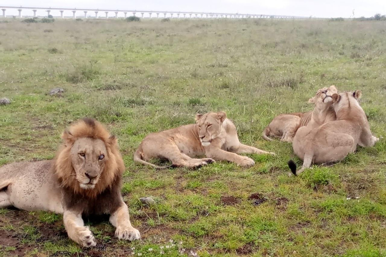 Au départ de Nairobi : Excursion de deux jours dans le parc national d'Amboseli