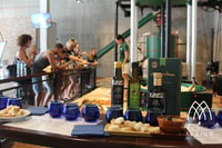 Tour guiada y degustación de petróleo en la fábrica de Aceites Molisur - Housity