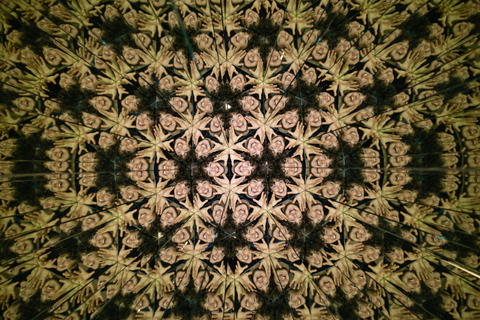 Montreal: Museum of Illusions Entry Ticket