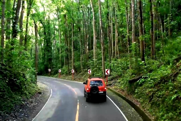 From Cebu: Bohol Countryside Exclusive Tour