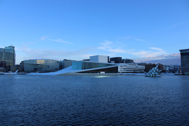 Oslo: Oslofjord Electric Boat Cookie Cruise