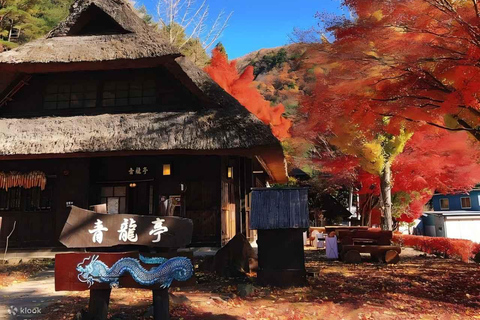 Tokyo: Tour di un giorno intero dei quattro punti maestosi del monte Fuji