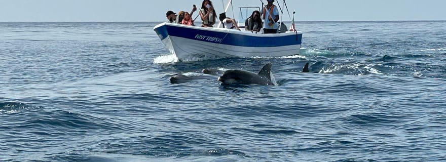 Olhão- Safari Observation des dauphins et autres espèces
