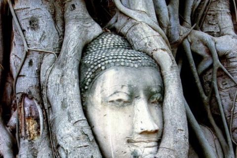 From Bangkok: Private Ayutthaya Heritage Tour