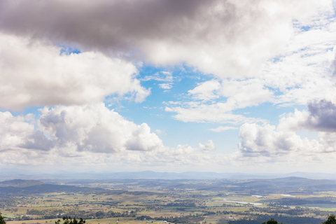 Tagestour ab Brisbane: Regenwälder & Glühwürmchenhöhle