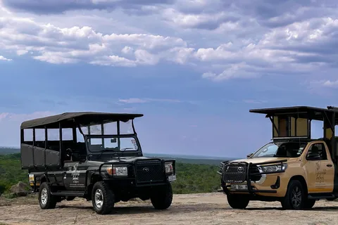 Malelane & Komatipoort: Kruger National Park Half-Day Safari