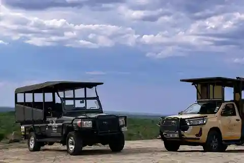 Malelane & Komatipoort: Kruger National Park Half-Day Safari