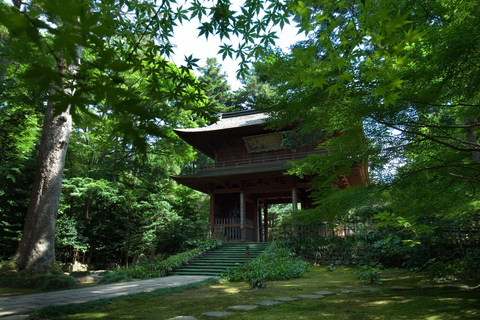 Persoonlijke Kanazawa Tour van lokaal tot de belangrijkste hoogtepunten3 uur persoonlijke tour door Fukuoka