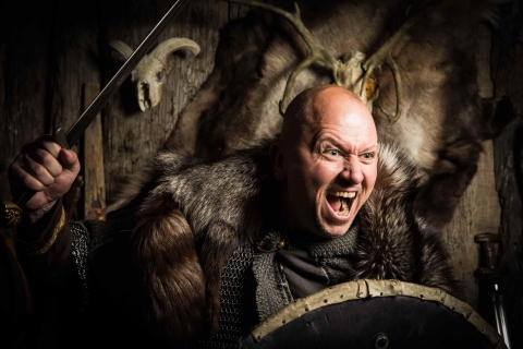 Reikiavik: Excursión Privada a Pie por la Era Vikinga en Islandia