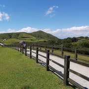 From Taipei: Beitou Hot Springs & Yangmingshan Park Day Tour From Taipei: Beitou Hot Springs & Yangmingshan Park Day Tour